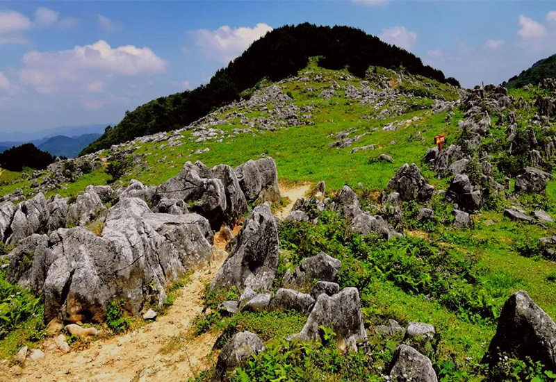 来北阳山观喀斯特地貌，享受绿色生活，体验生态之美